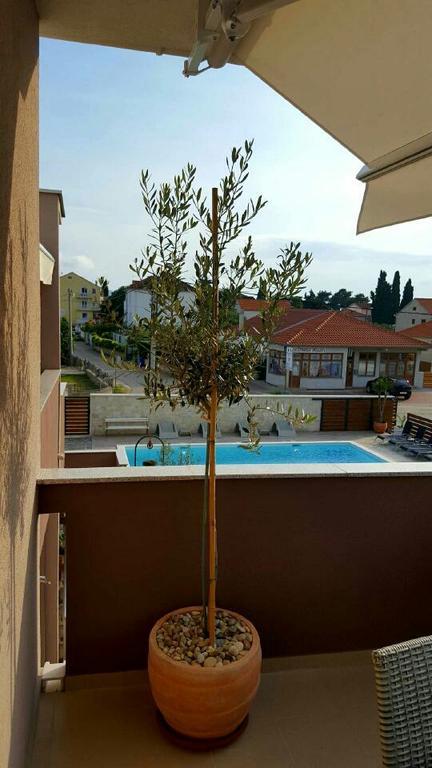 Antonija Apartments With Pool Biograd na Moru Kültér fotó